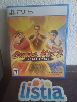 Cobra Kai 2 Dojos Rising - PlayStation 5