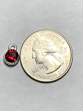 BIRTHSTONE CHARMS~#2~JANUARY~FREE SHIPPING!