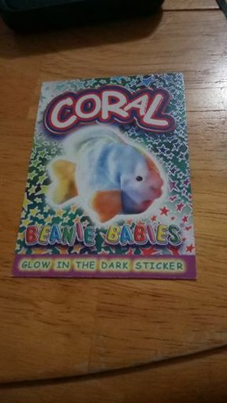 Coral the Ty-Dye Fish