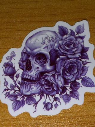 Beautiful 1⃣ Cute vinyl laptop sticker no refunds regular mail win 2 or more get bonus