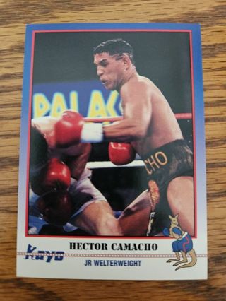 1991 Kayo boxing trading card.