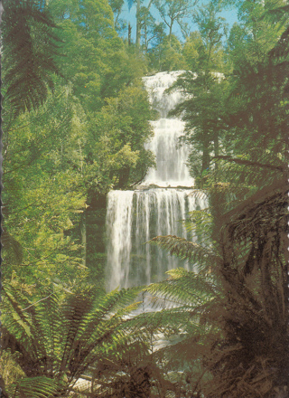 Vintage Postcard Russell Falls, Tasmania