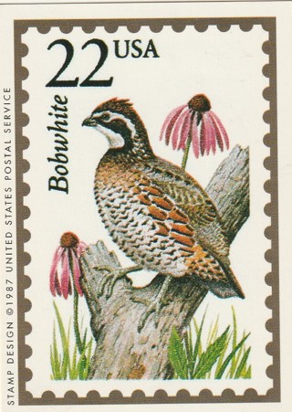 Vintage Wildlife America Collector/Trade Card: Bobwhite