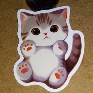 Cat Cute vinyl sticker no refunds regular mail only Very nice these are all nice