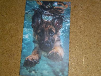 Dog Cool 1⃣ new one vinyl sticker no refunds regular mail win 2 or more get bonus