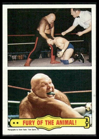 1985 Topps WWF Pro Wrestling Stars #55 - Fury Of The Animal!