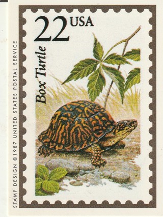 Vintage Wildlife America Collector/Trade Card: Box Turtle