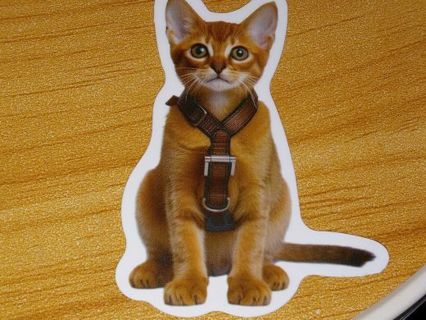 Cat Cute new one vinyl sticker no refunds regular mail only Very nice