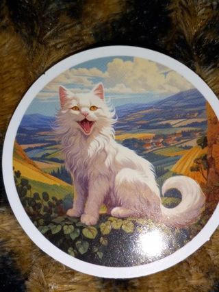 Cat Cute 1⃣ vinyl sticker no refunds regular mail win 2 or more get bonus