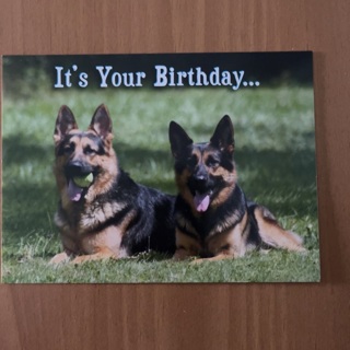 German Shephard Birthday Card