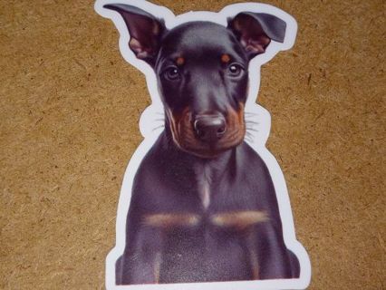 Adorable nice vinyl lab top sticker no refunds regular mail high quality!