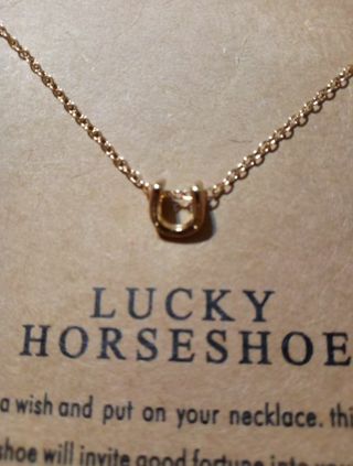 LUCKY HORSESHOE NECKLACE... WITH SIZE ADJUSTER...YEP YOU DECIDE THE PRICE