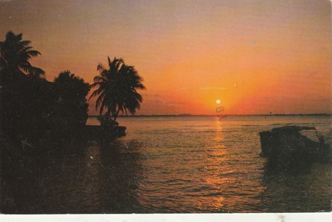 Vintage Used Postcard: (c1): Florida Sunset