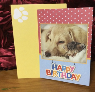 Happy Birthday Dog & Kitten Card