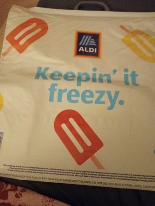 Frozen Food Plastic Shopping Bag