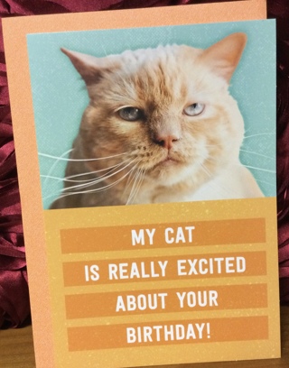 Orange Cat Frowning Birthday Card