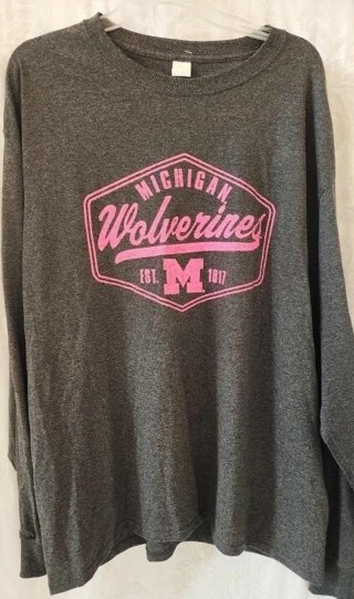 New Michigan Wolverines Themed T-Shirt Womens Size XL Hanes Comfort Gray 