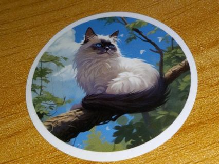 Cat Cool new 1⃣ vinyl laptop sticker no refunds regular mail very nice quality