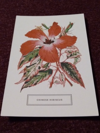Botanical Postcard - CHINESE HIBISCUS