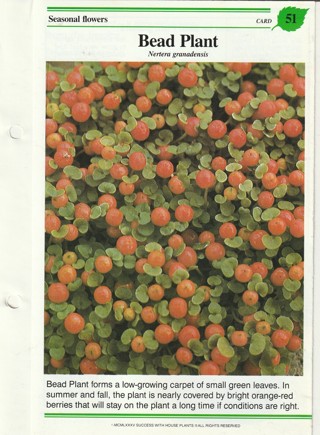Success with Plants Leaflet: Bead Plant