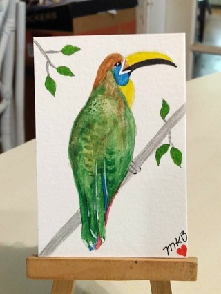Original, Watercolor Painting " 2-1/2 X 3-1/2" ACEO Emerald Toucanet Bird by Artist Marykay Bond