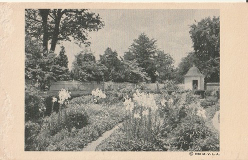 Vintage Unused Postcard: b&w: Garden, MountVernon