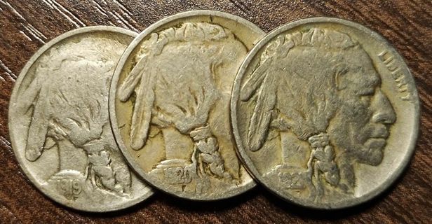 1919 1920 & 1921 USA Buffalo Nickels!