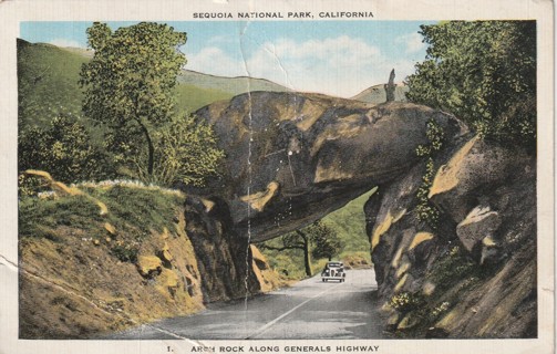 Vintage Used Postcard: GIN: 1952 Sequoia National Park, CA