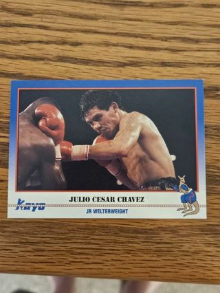 Kayo boxing trading card.