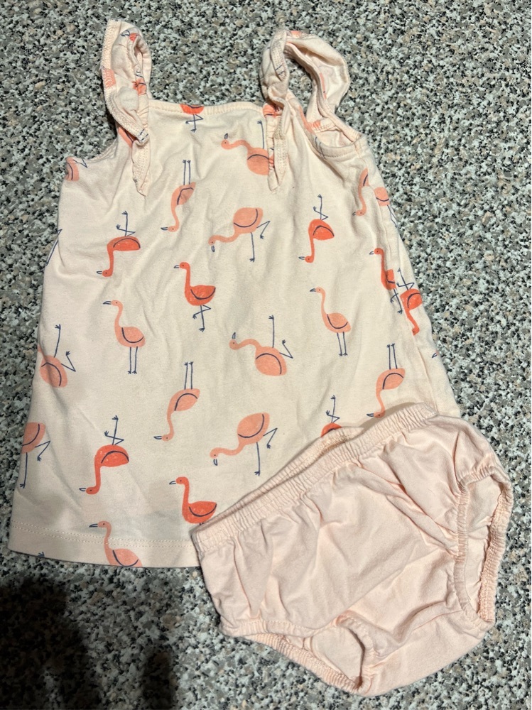 FREE: Carter’s Summer Dress Size 9 Months 