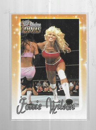 2003 FLEER WWE TORRIE WILSON #48