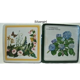 Set of 2 Cork Back Floral Drink Coasters