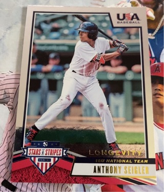 2019 Panini USA Baseball Stars & Stripes Longevity Anthony Seigler RC #80 New York Yankees 