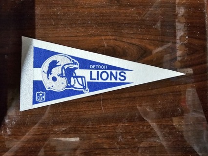 Detroit Lions 4" X 9" Pennant