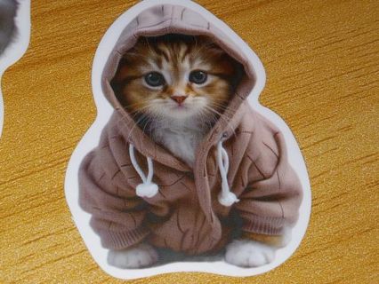 Cat Cute one nice vinyl sticker no refunds regular mail Win 2 or more get bonus