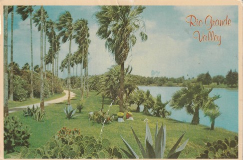 Vintage Used Postcard: Rio Grand Valley, TX