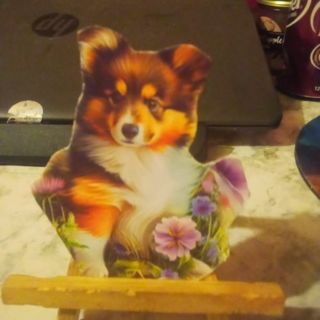 Reduced-Collie Puppy - Design Magnet