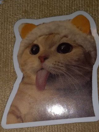 Cat Cute one nice vinyl sticker no refunds I send all regular mail only nice quality