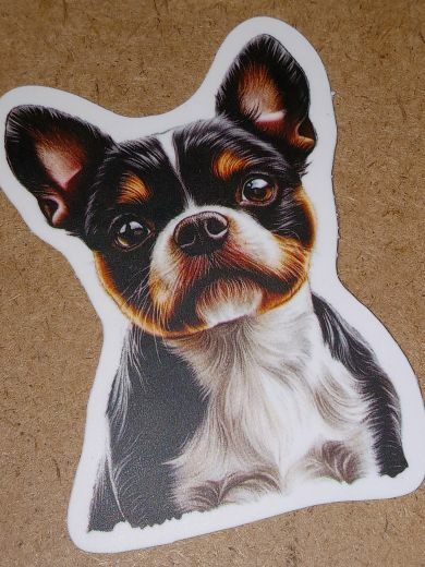 Free: Dog one vinyl sticker no refunds regular mail only Very nice win 2 or more get bonus