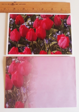 "Spring Rain on Tulips" art notecard w/matching envelope